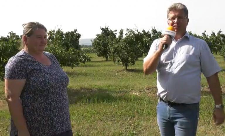 Harmadik hete folytatódnak a birtoklátogatások