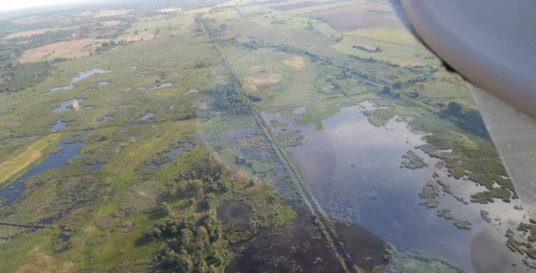 Ha kiszárad a Balaton-Nagyberek, oda az élőhely