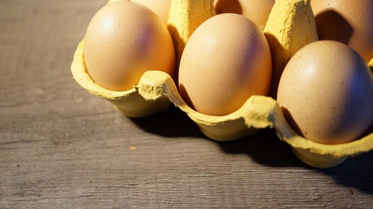 Magyar cég fejleszt tojásból koronavírus-ellenanyagot