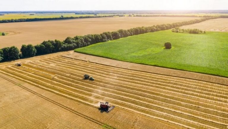 Megjelent az agrár-környezetgazdálkodás kifizetés pályázati felhívás