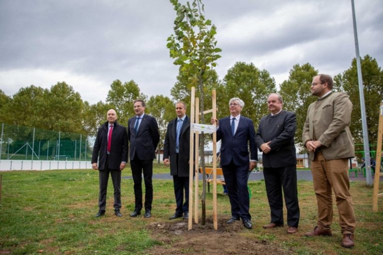 Továbbra is folytatódik a fásítási program