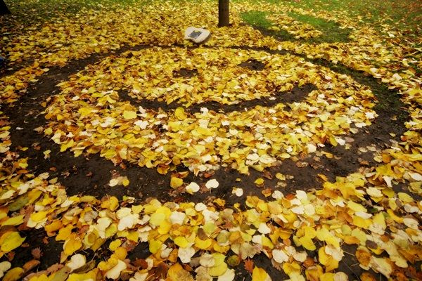 Novemberi kerti munkák