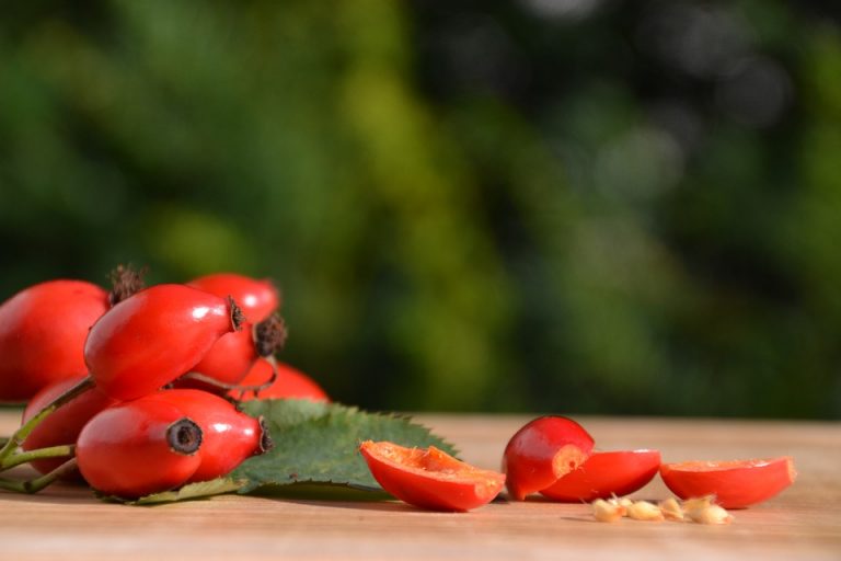 Csipkebogyó az egyik legfinomabb C-vitamin pótló, téli időszakban