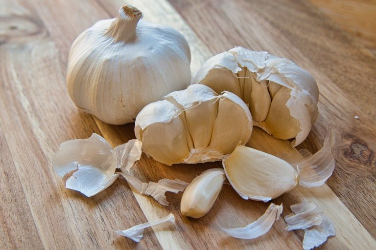 Baktériumölő gyógynövények Baktériumölő gyógynövények