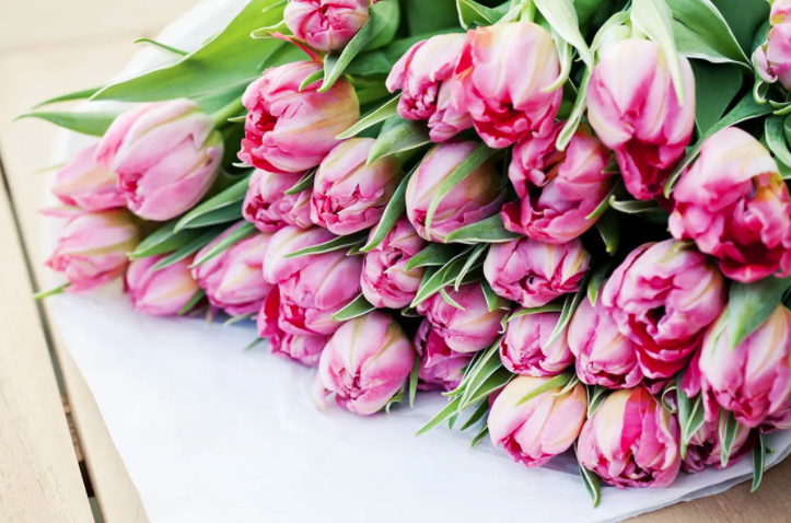 Minden fontos tudnivaló a virághagymákról