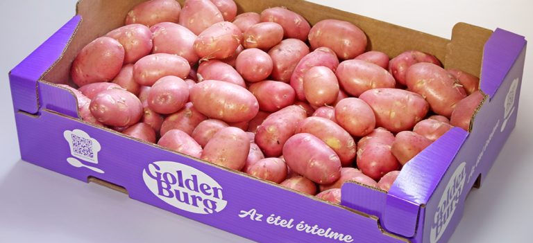 A legszűkebb elit tagja a magyar GoldenBurg burgonya