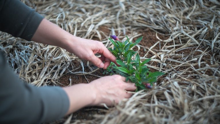 Rezsicsökkentés: így nem megy rá a gatyánk is a konyhakert locsolására
