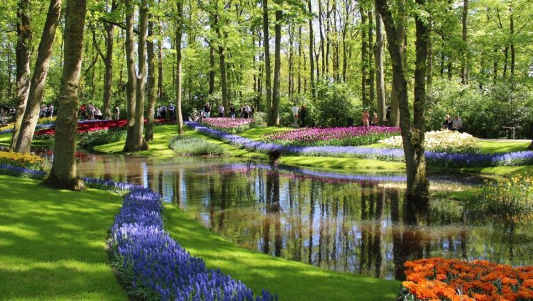 Einstein az ágyásban – Keukenhof, a világ legnagyobb virágoskertje